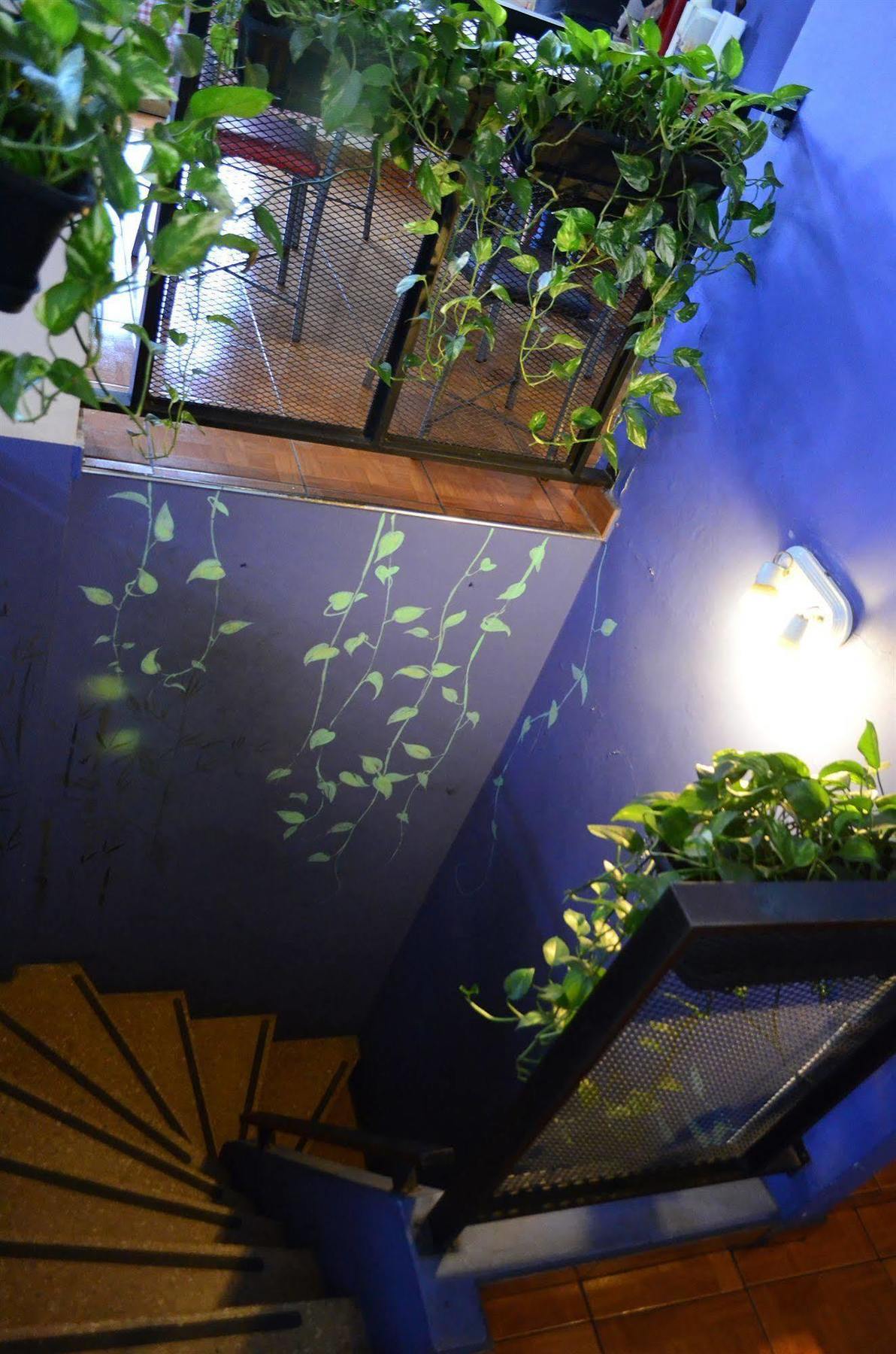 Garden House Hostel Buenos Aires Exterior photo